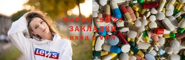 гашик Аркадак