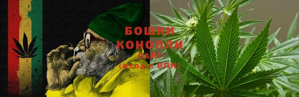 гашик Аркадак