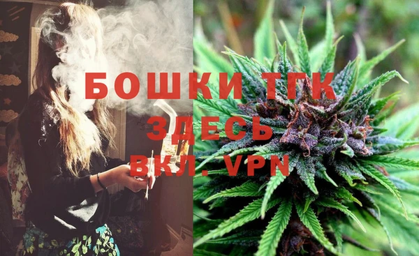 дживик Арсеньев