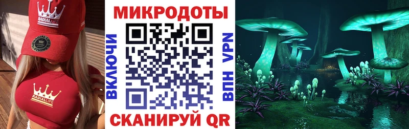 что такое наркотик  Кинель  Галлюциногенные грибы Magic Shrooms 